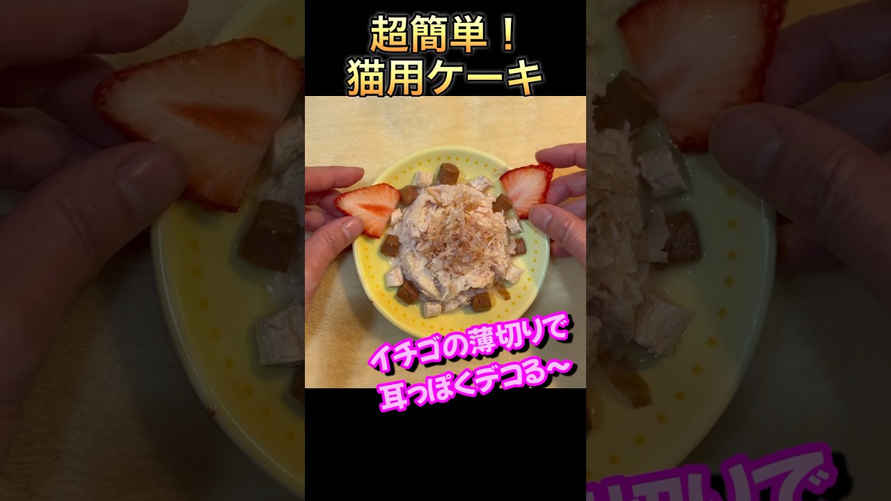 超簡単手作りケーキ　猫用　もふもふのサイベリアン　お誕生日ケーキ　#shorts 誰でも作れる