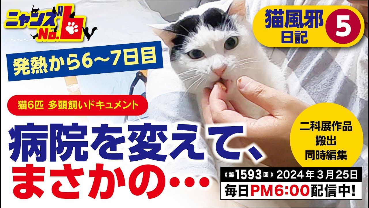 《第1593回》発熱から6〜7日目＞病院を変えて、まさかの・・・