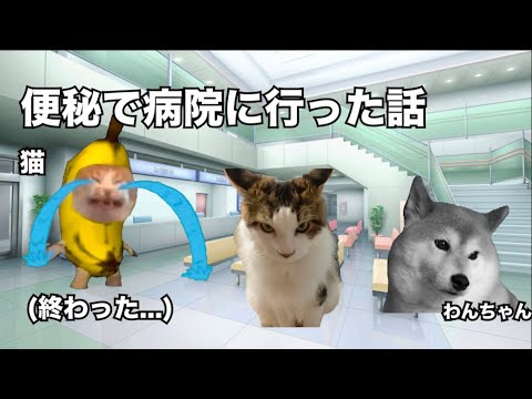 【猫ミーム】猫が便秘気味なので病院に連れていった話