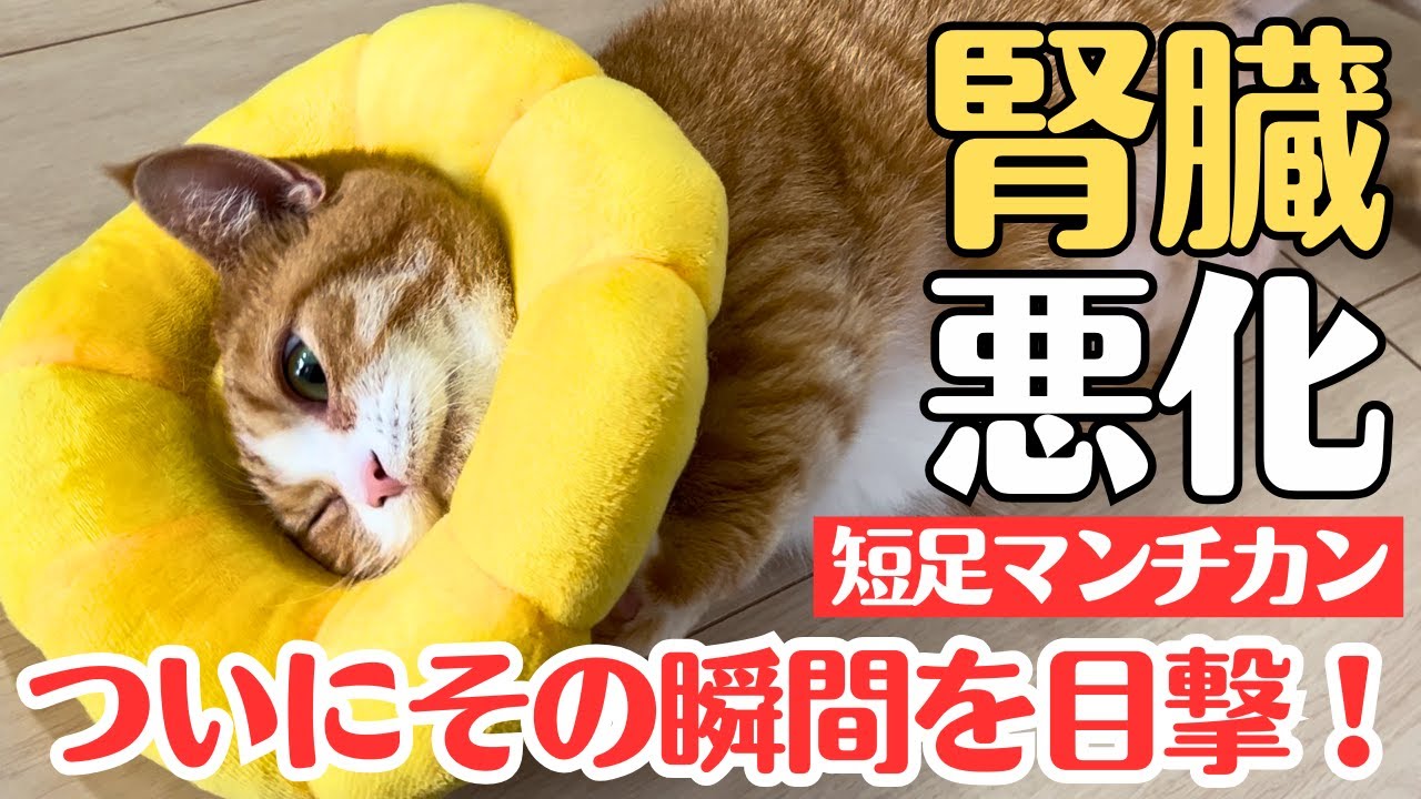 【感謝】あさりの事がYahoo!ニュースにも取り上げられました！そしてあの瞬間も目撃！