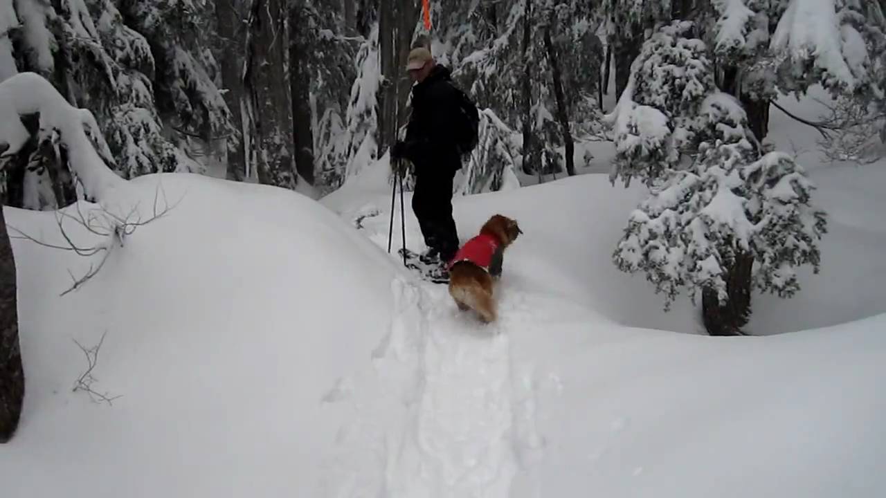 Mount Seymourでスノーシューイング