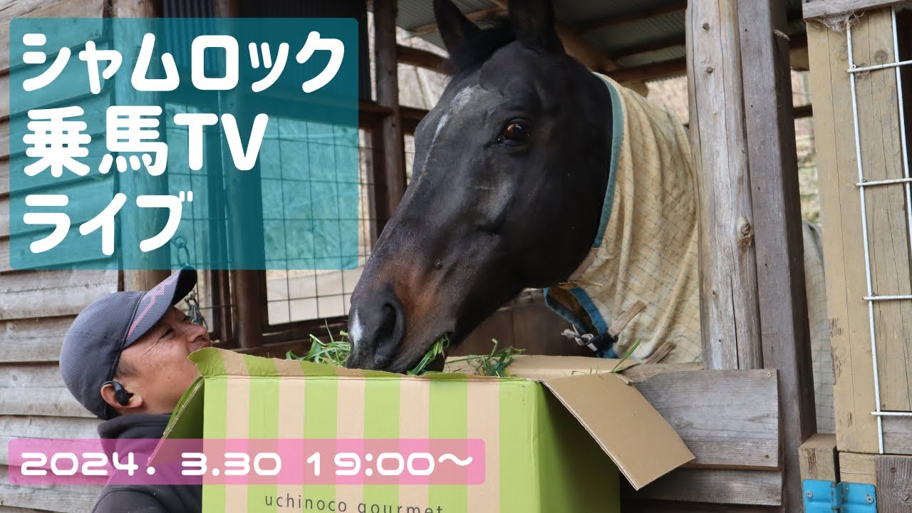 シャムロック乗馬TVライブ第一四半期