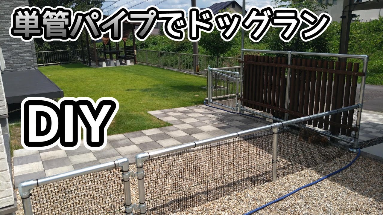 単管パイプでお庭にドッグランをDIY【ミニチュアダックスフンド】生後3ヵ月の子犬
