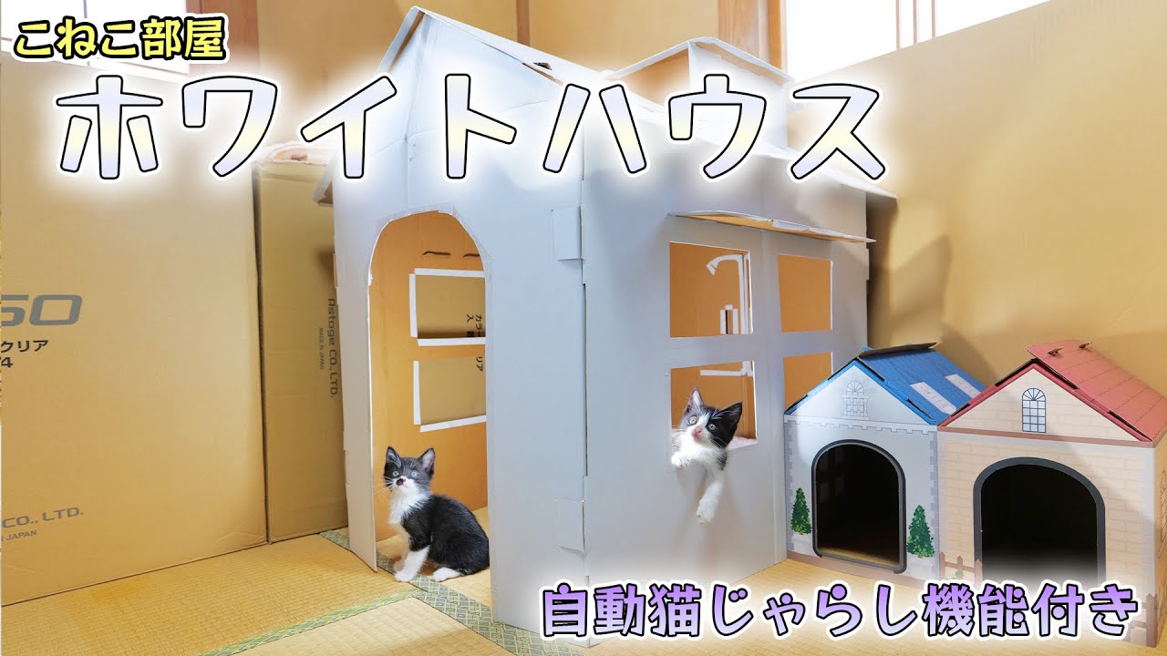 子猫部屋に自動猫じゃらし機能付きのホワイトハウスを建設しました🐈🐈【仲良し子猫姉妹の成長記録】