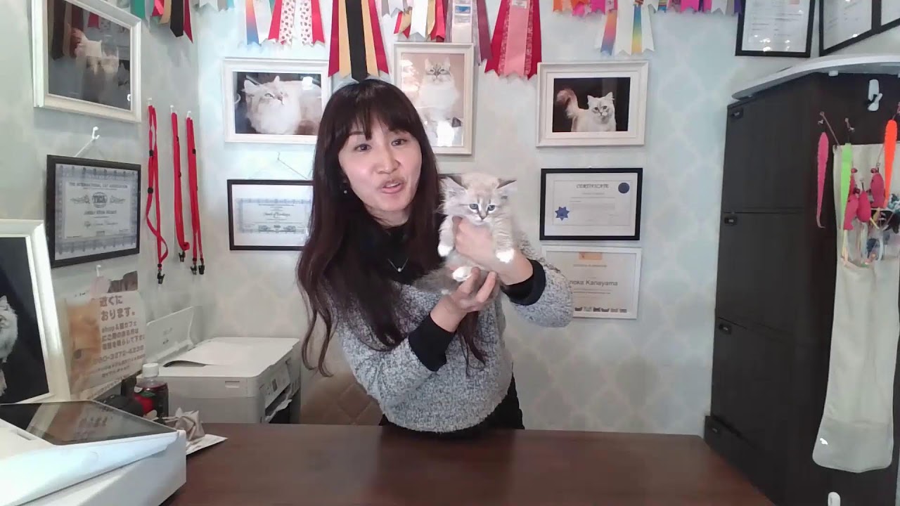 【モカのフライデーニャンニャンLIVE】