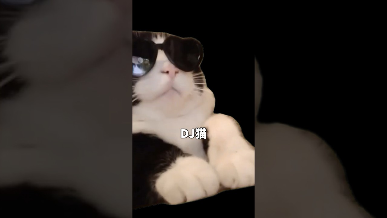 DJ猫 について解説 #猫ミーム