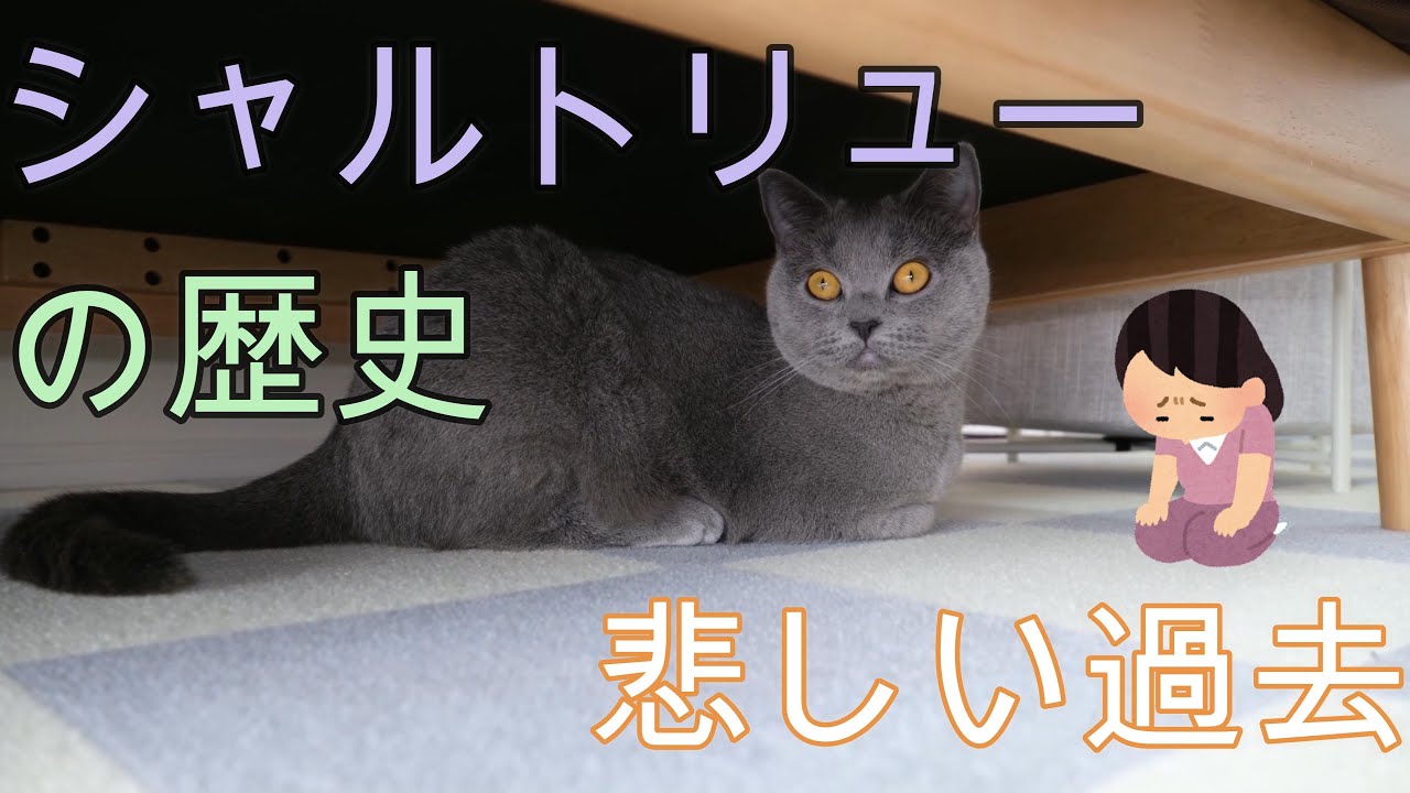 シャルトリューの歴史。悲しい過去。