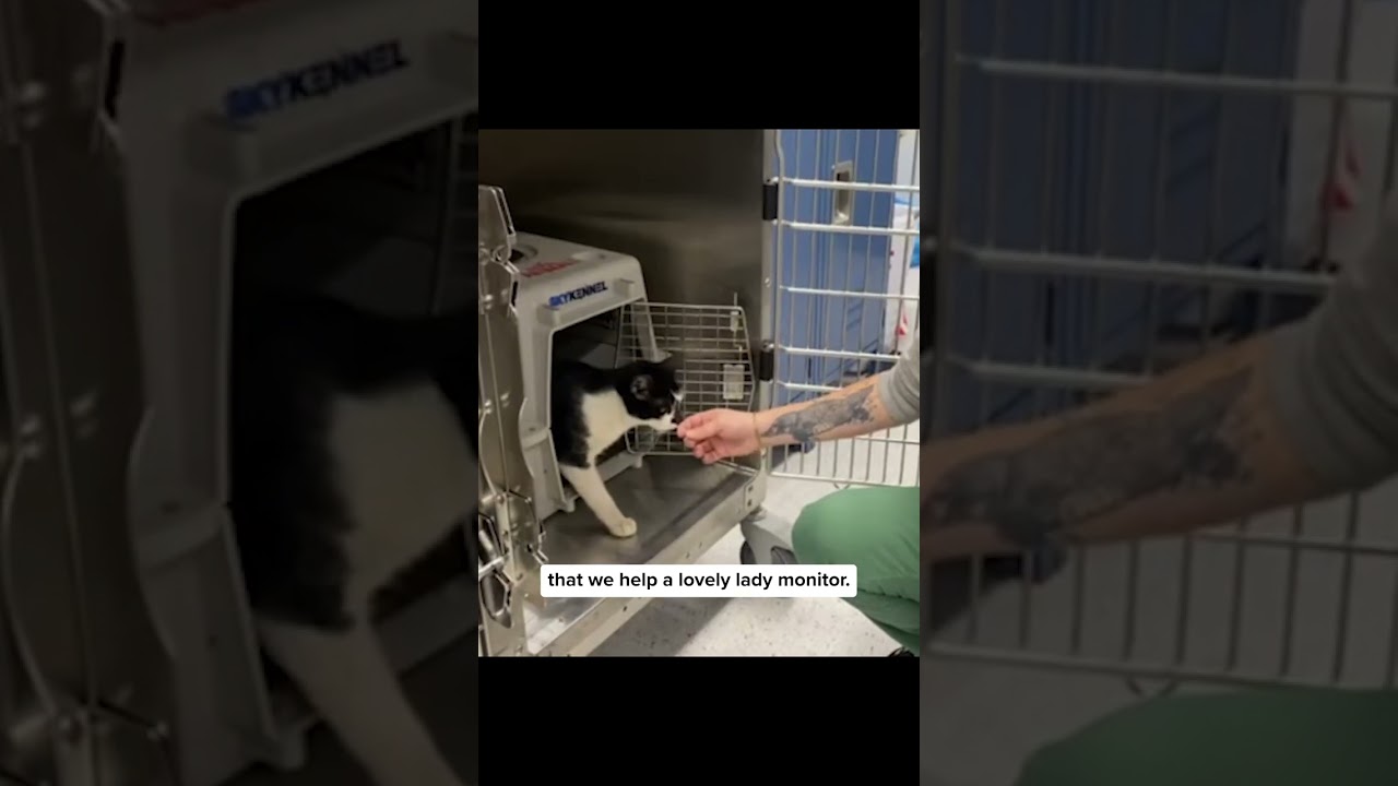 Loveable Lady Happy After Rescue