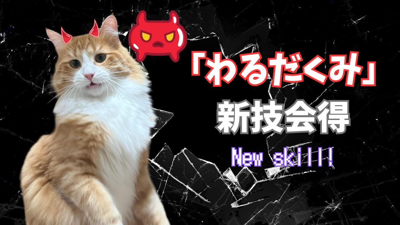 【サイベリアン】ベルは あたらしく わるだくみを おぼえた！
