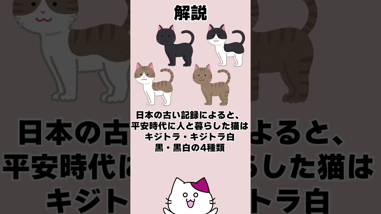 【猫好き上級者クイズ】平安時代に日本にいなかった猫の毛柄は？2択クイズ！！#猫  #2択クイズ #shorts