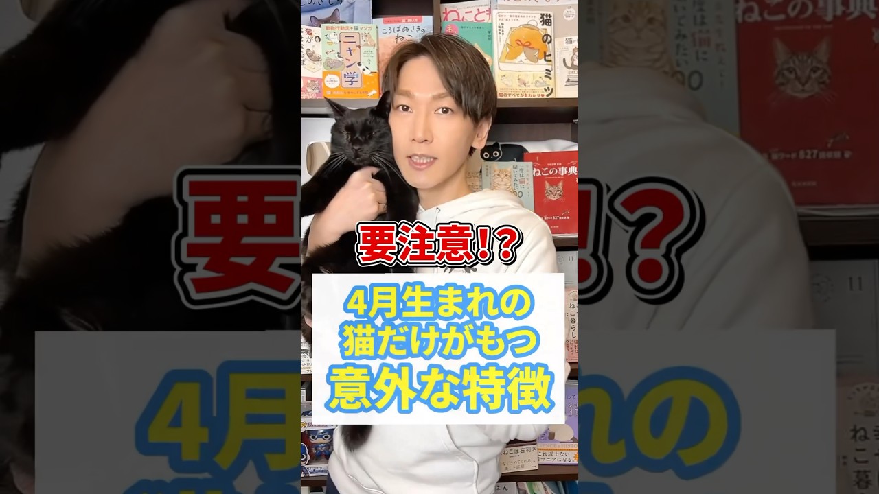 要注意！？4月生まれの猫だけがもつ意外な特徴 #猫 #猫好きさんと繋がりたい #ねこ