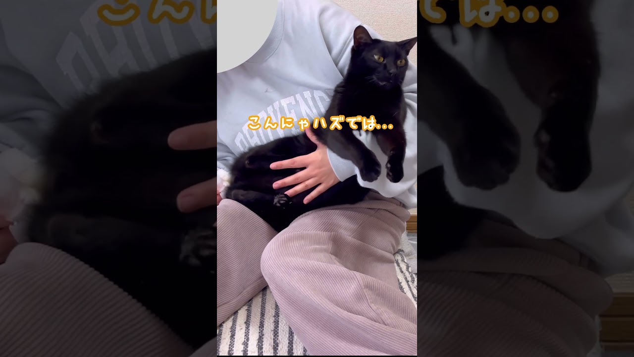 朝からこんにゃハズでは...って顔になるクロちゃん