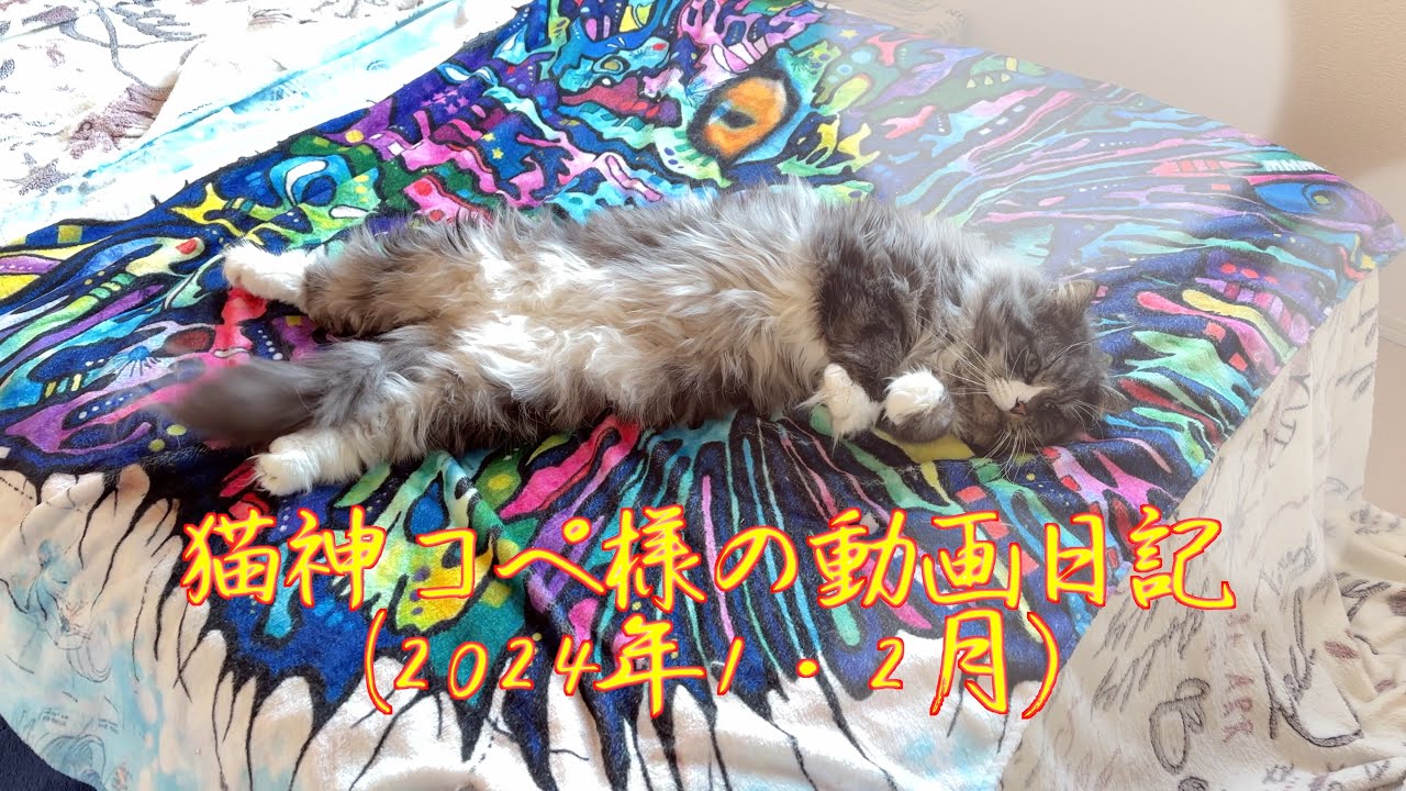 猫神コペ様の動画日記(2024年1月・2月)