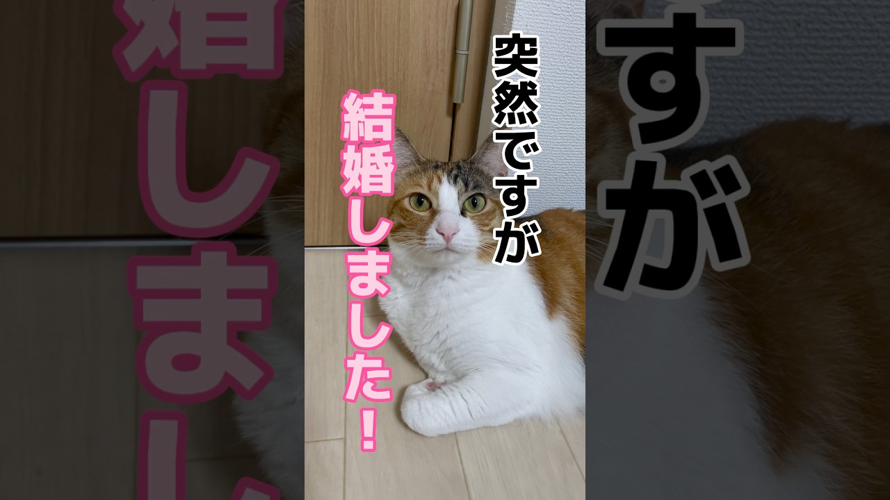 私事ではありますが、結婚しました。