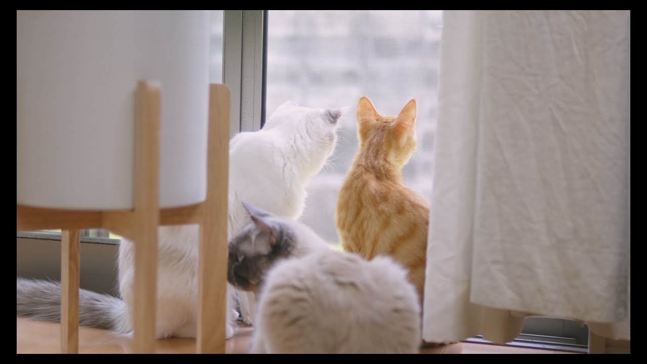 ほのぼの