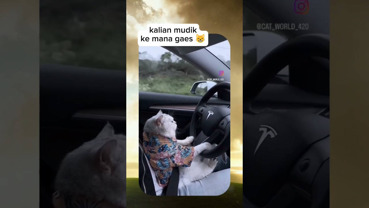 selamat idul fitri gaes, mohon maaf lahir dan batin ya❗😺 #eidmubarak #mudik #lebaran #shorts #fyp