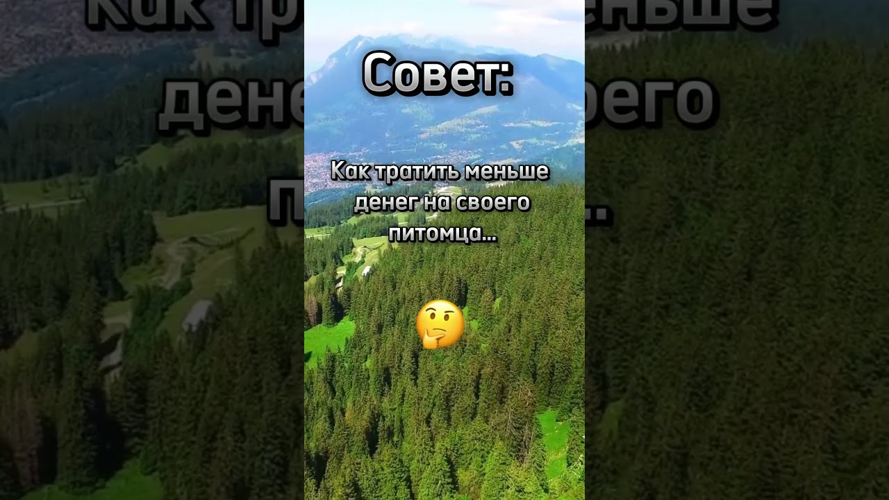 11 апреля 2024 г.