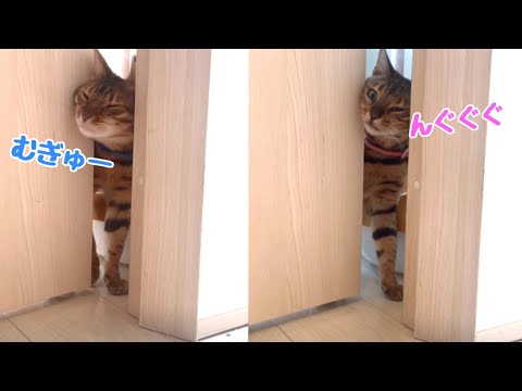 意地悪してドアを少しだけ開けてみたら可愛過ぎました