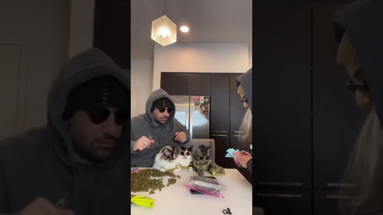 WHO DO YOU THINK IS THE BOSS? 😹 #shorts