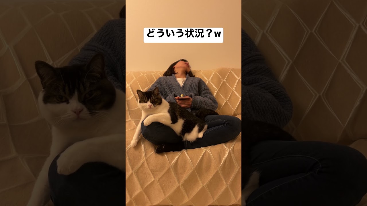 なにこれ？？？ #shorts