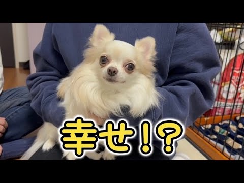 幸せ！？