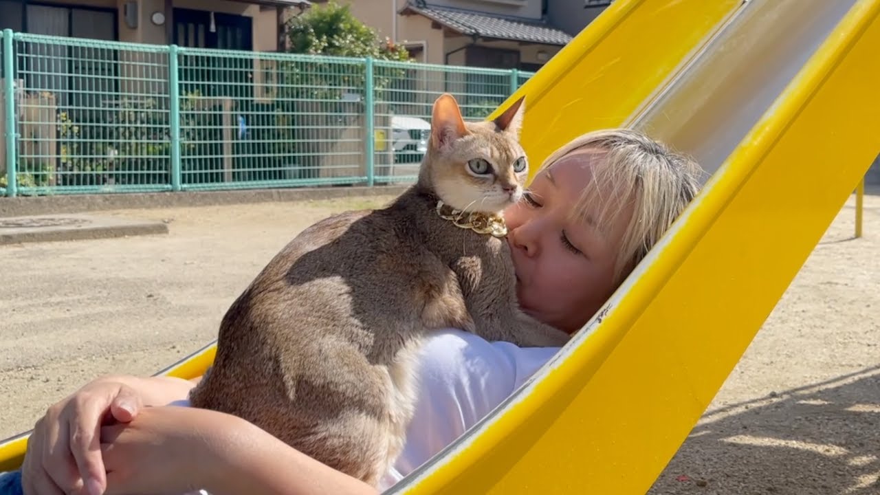 春のポカポカ陽気に誘われて猫とお散歩