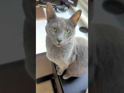 Lena says I love you