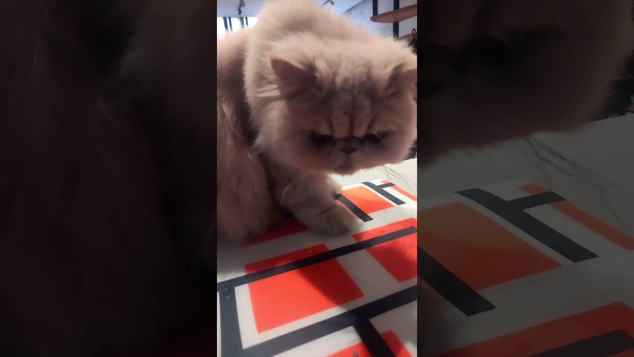 22 апреля 2024 г.