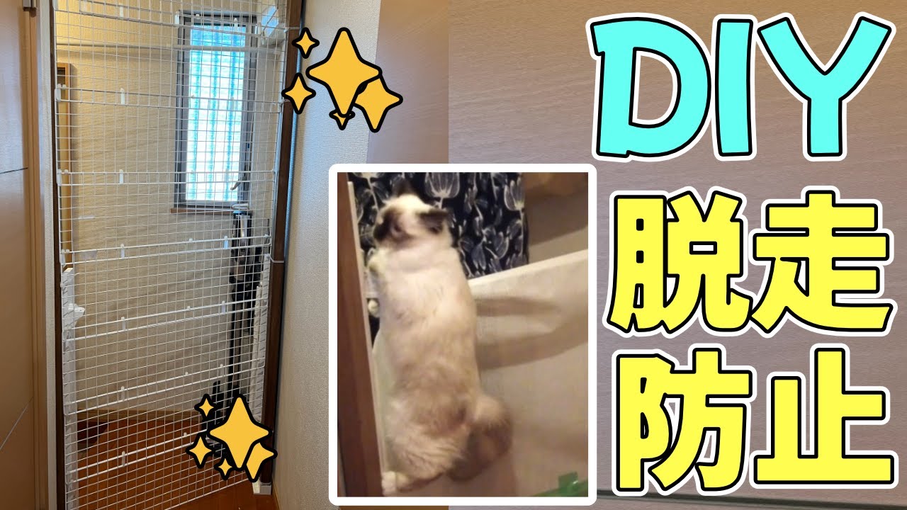 賃貸可・玄関ゲート手作りしました！子猫の脱走防止【バーマン】