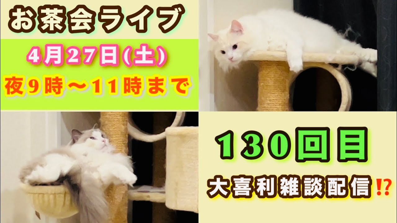 【おっさんGOLD】毎月最終土曜日のお茶会ライブ配信〜のご案内🎉☕️🍵  vol.130