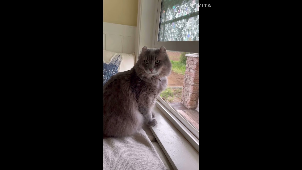 人生を振り返る