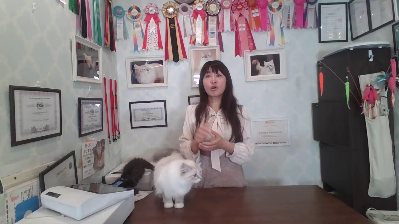 【モカのフライデーニャンニャンLIVE】