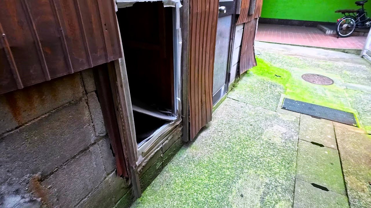 行方がわからなくなった飲み屋のシャム猫をダメ元で捜した結果🤧