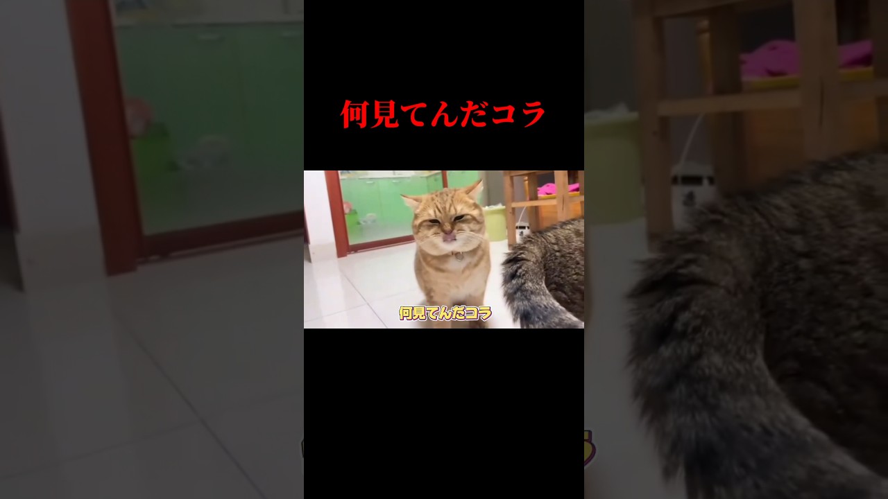 いちゃもんのプロ