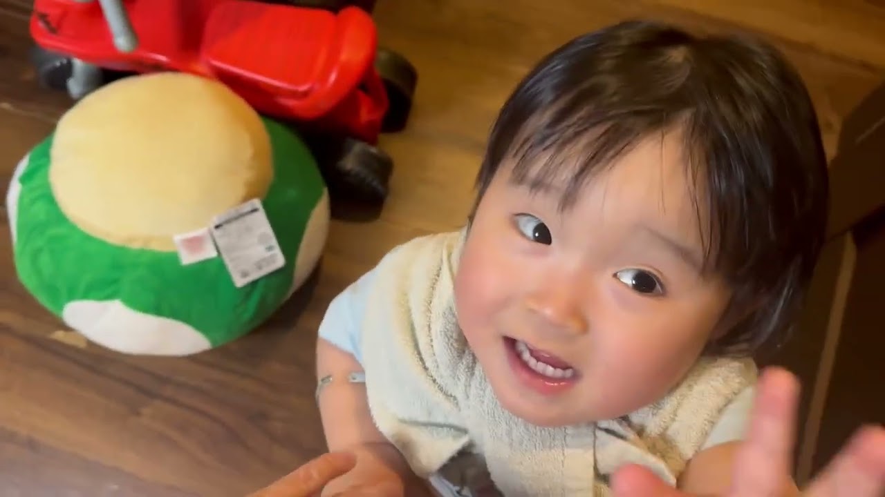 寝転んで誘惑する猫　ノルウェージャンフォレストキャット　Cat lying down and seducing