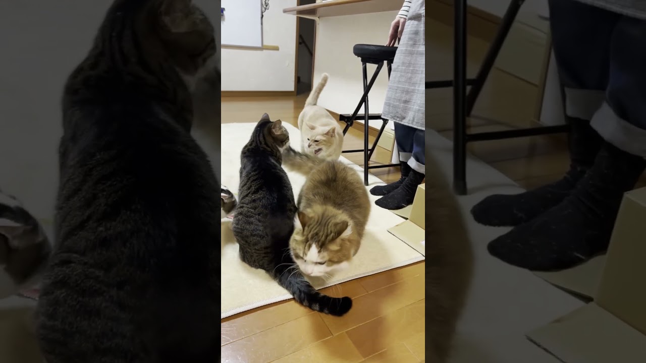 みんなが集まると必ずこの流れになります