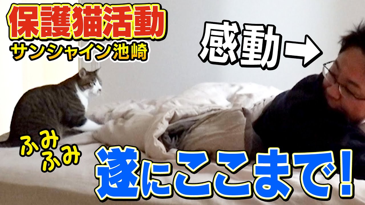 【保護猫活動】寝込んだ池崎さんに新入りネコの佐吉がまさかの行動を取りました【ねこおじさん】