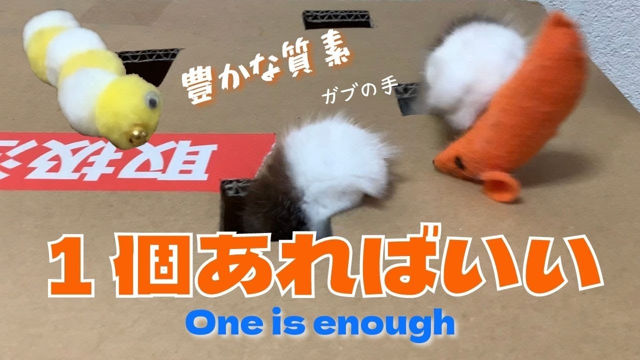 豊かな質素【１個あればいい】One is enough （バーマン猫）Birman/Cat