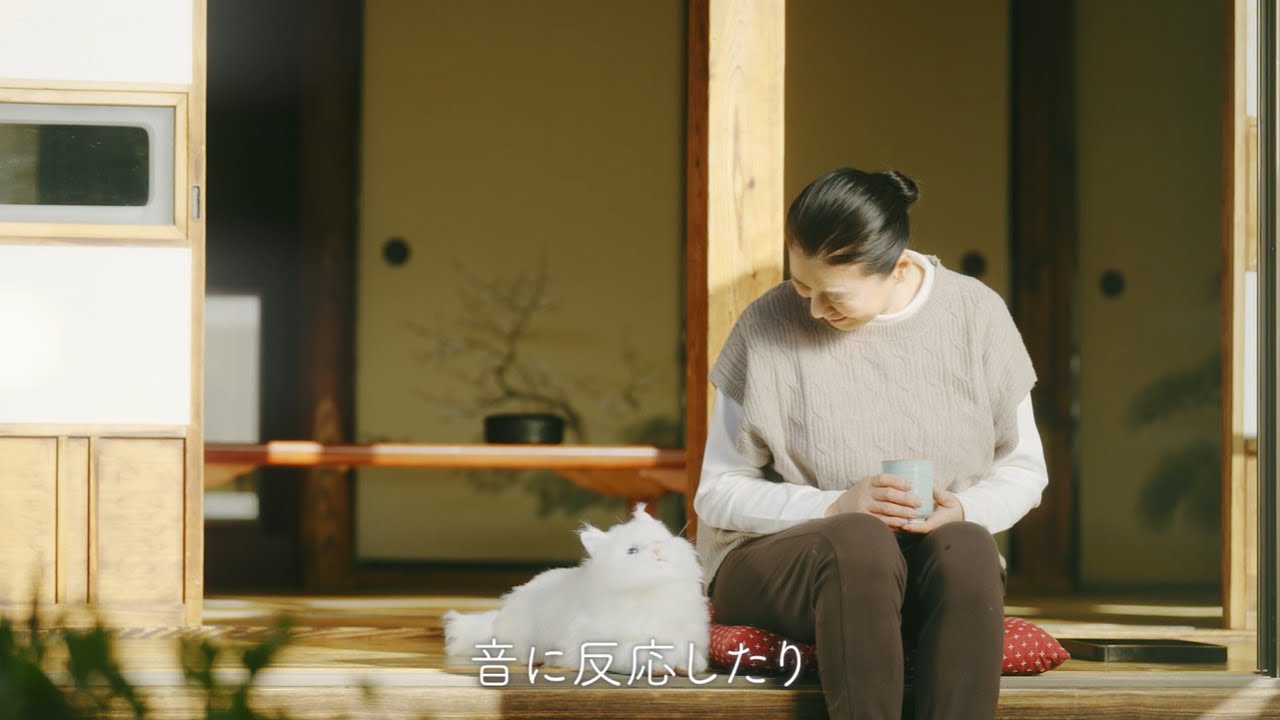 あなたのお迎えを待つ！猫の新感覚ペットロボット｜KIMIT（キミット）