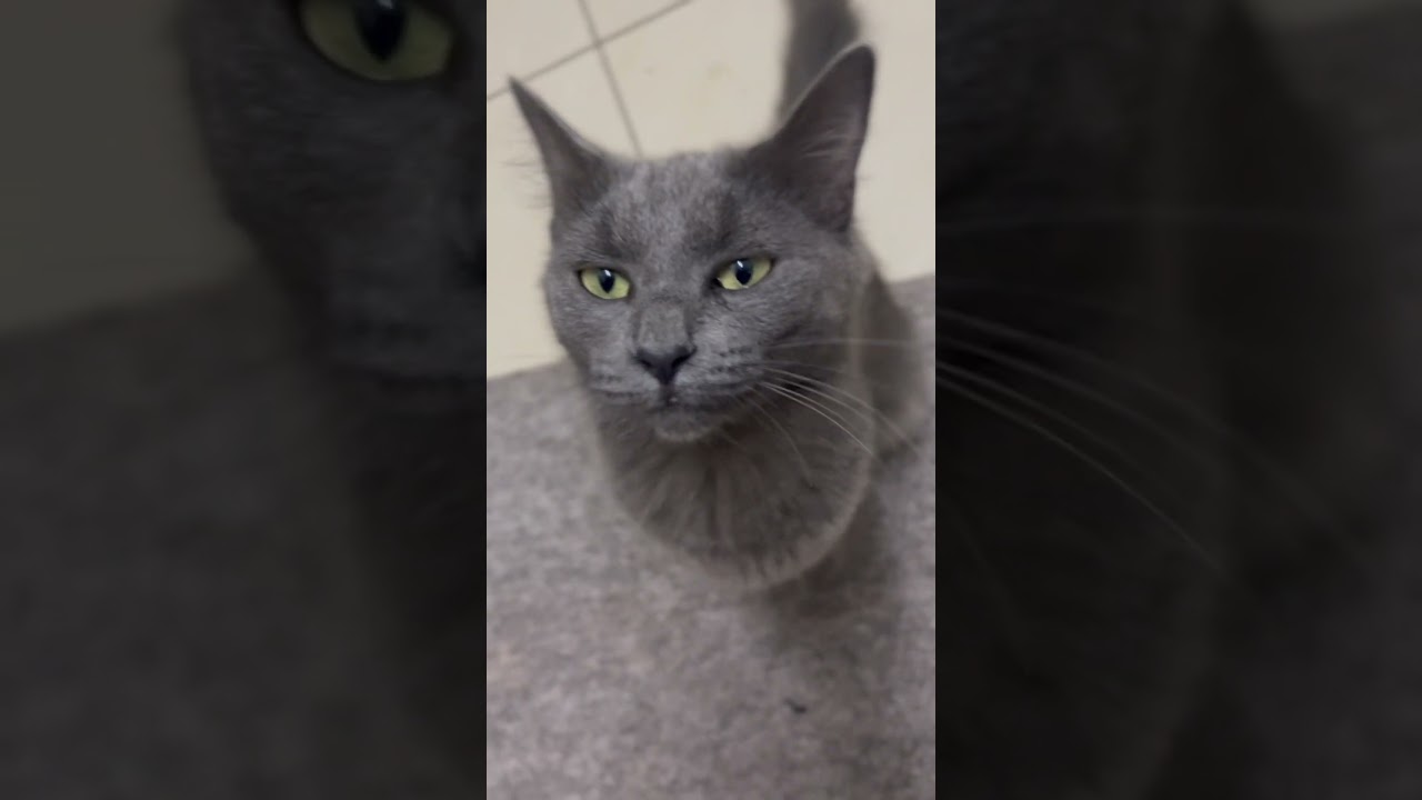 Something fishyyy🐠🐠😋😋