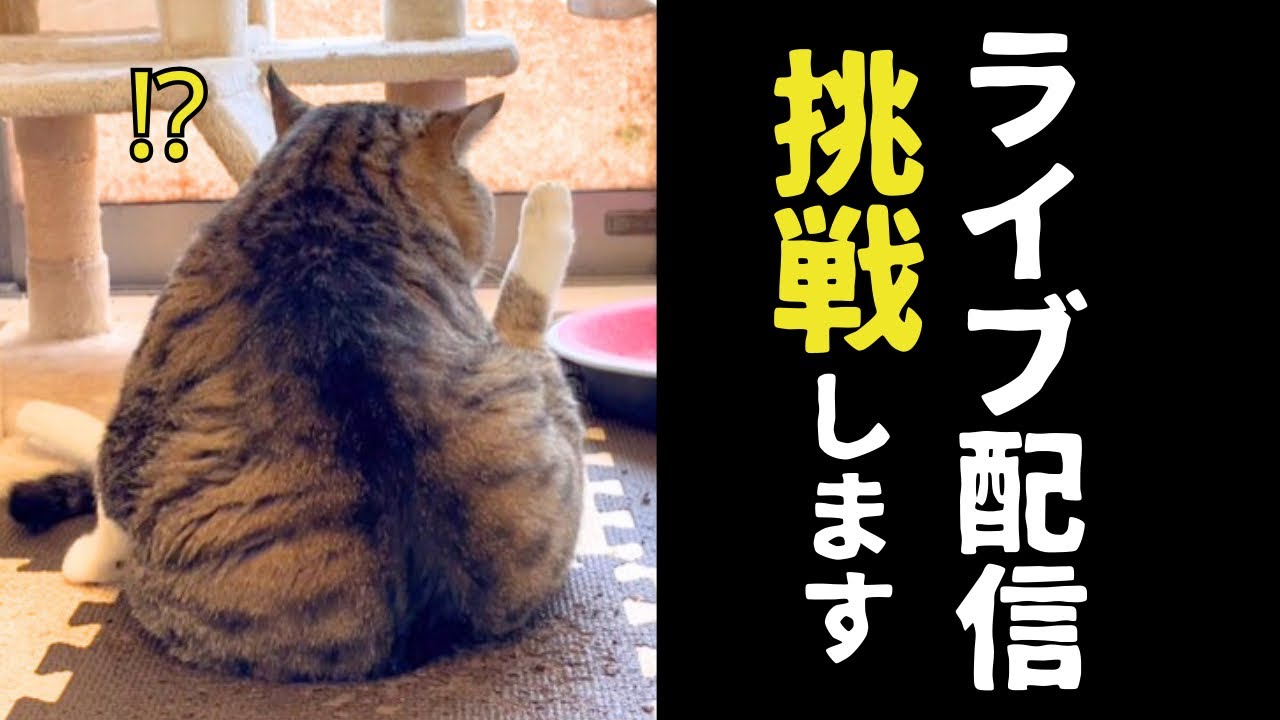 ぜひお伝えしたい大切なお知らせです！
