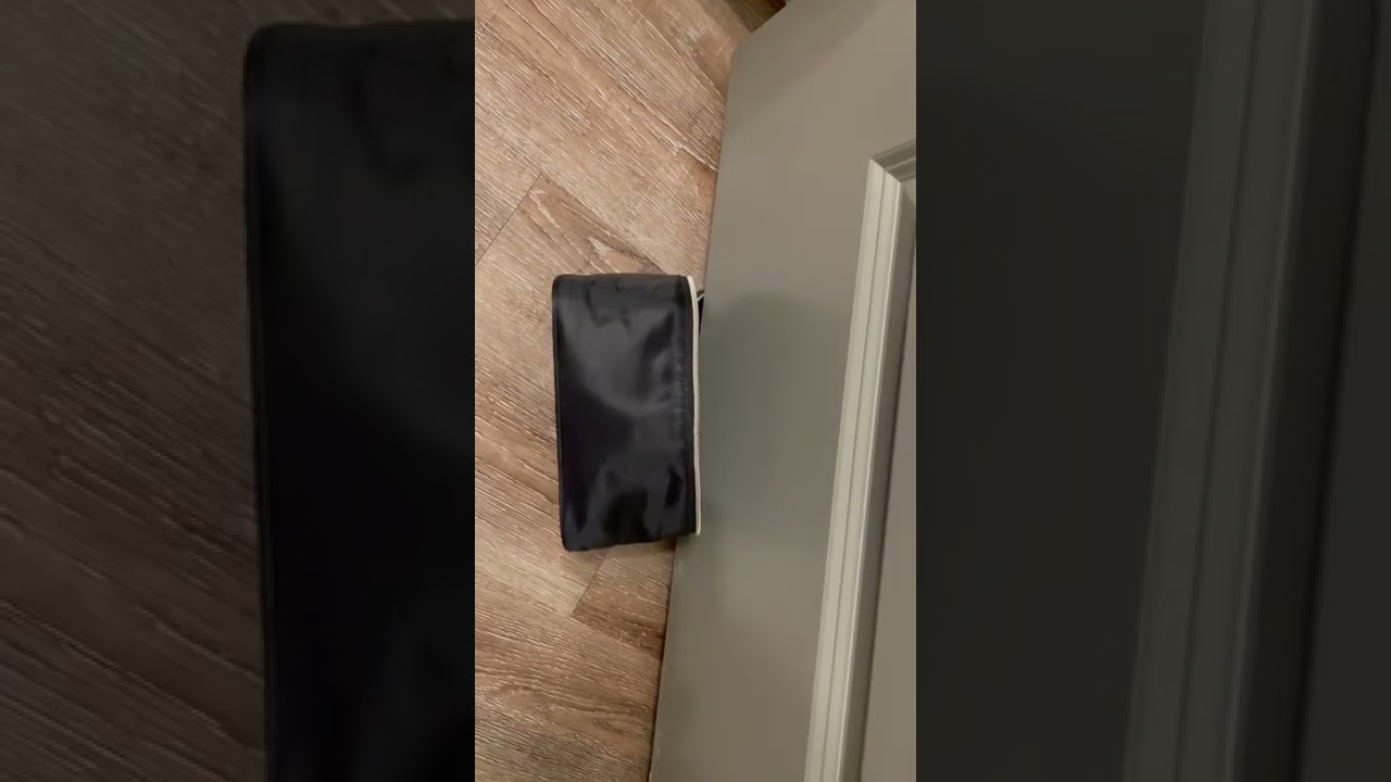 Give me that bag!!! Funny Siamese Cat!