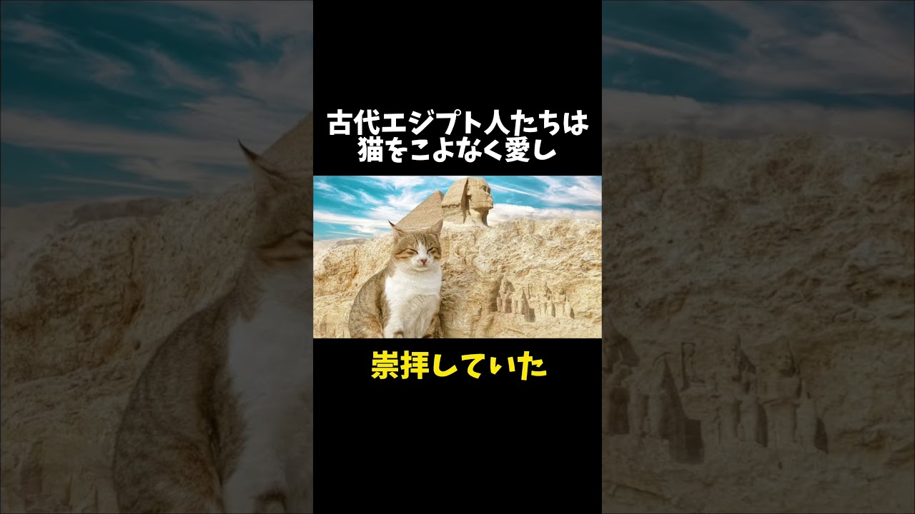 98%の人が絶対に知らない猫に関する雑学・豆知識Part6
