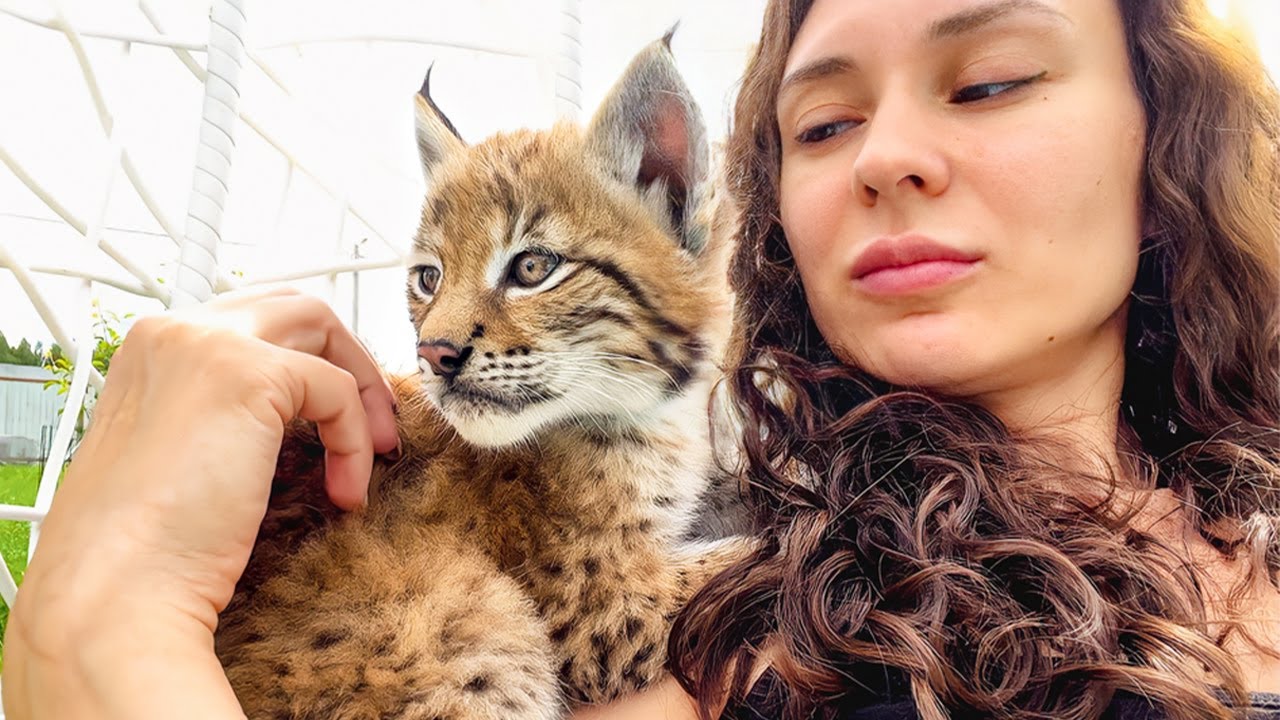 捨て猫を助けたつもりだった女性。その４年後に驚くべきことが！【感動】