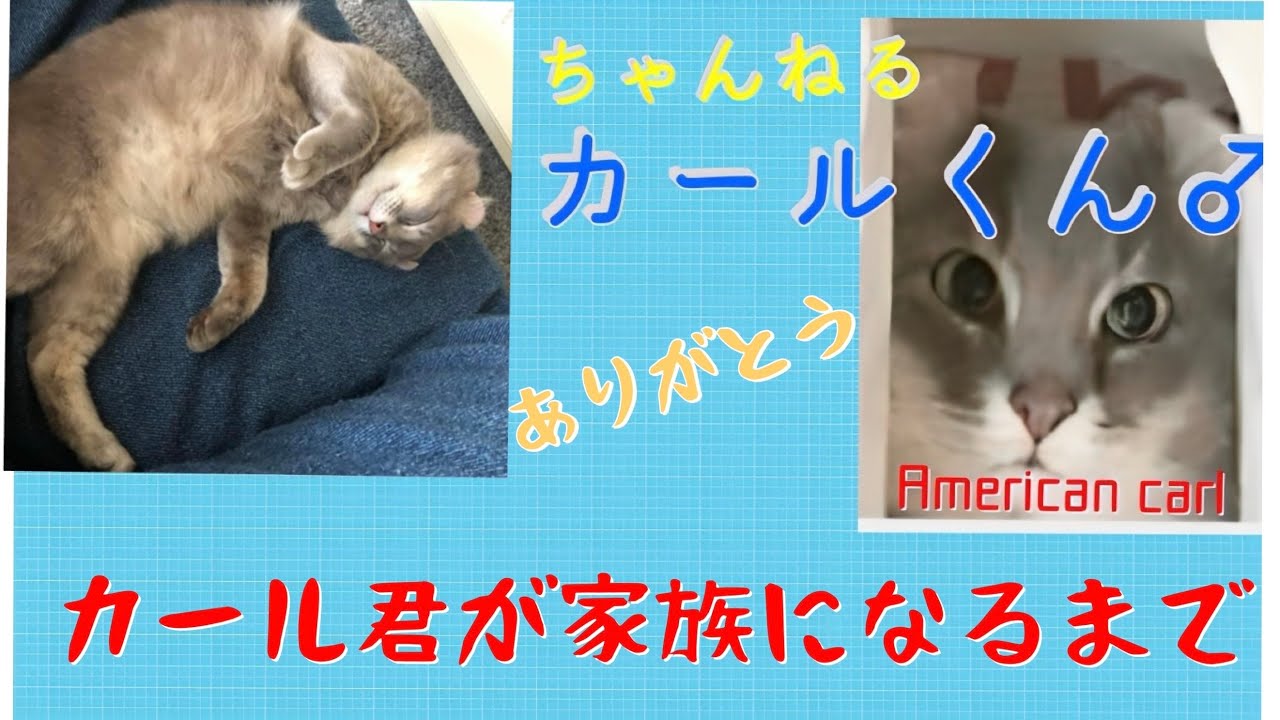 #012.家族になるまで