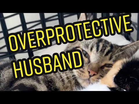 I can’t believe it worked! 😹 #shorts