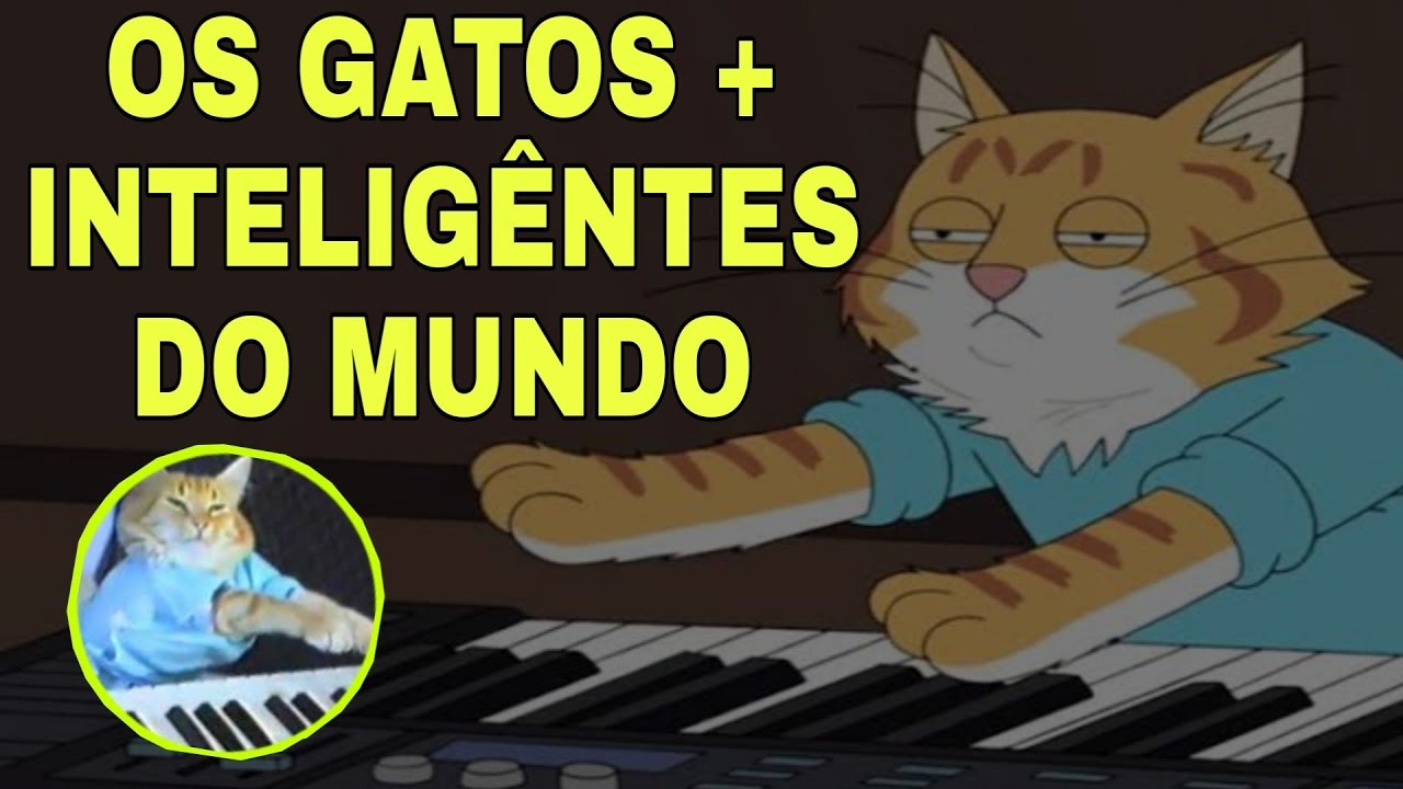#short 5 GATOS MAIS INTELIGENTES DO MUNDO #abyssinian