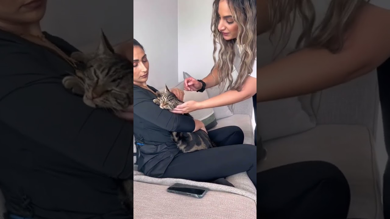 THIS HURTS MY HEART 😢 #shorts #shorts30