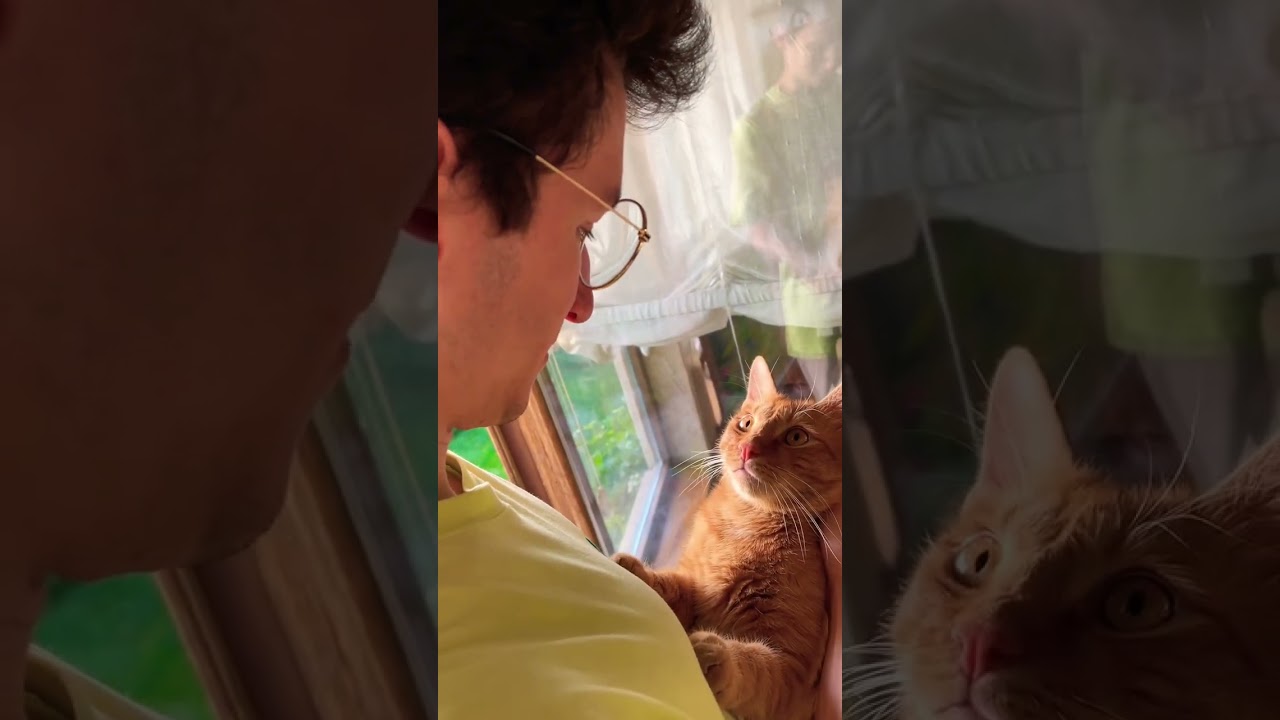 Ой🥰 какой🤩 красивый🥵