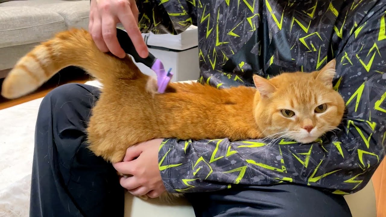 ゴッドハンドによるプリッシング